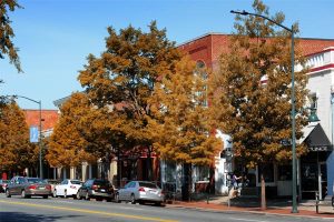 Image of Franklin Street during the day, large trees with the leaves changing color line the side of the street